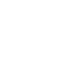 American Airlines